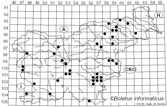 <i>Calonarius callochrous</i> (Pers.) Niskanen & Liimat. (2022)