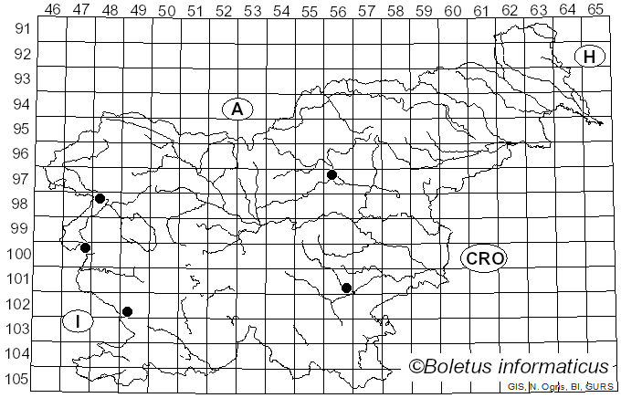 <i>Cantharellus borealis</i> R.H. Petersen & Ryvarden (1971)