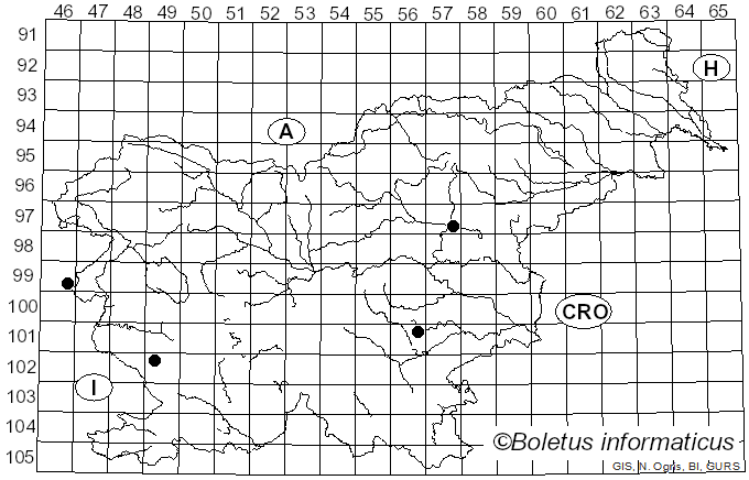 <i>Neofusicoccum</i> Crous, Slippers & A.J.L. Phillips (2006)