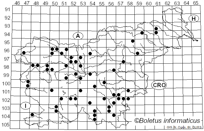 <i>Cerrena unicolor</i> (Bull.) Murrill (1903)