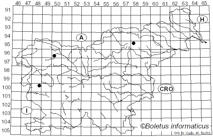 <i>Tatraea dumbirensis</i> (Velen.) Svrcek (1993)