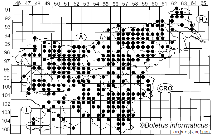 <i>Gloeophyllum</i> P. Karst. (1882)