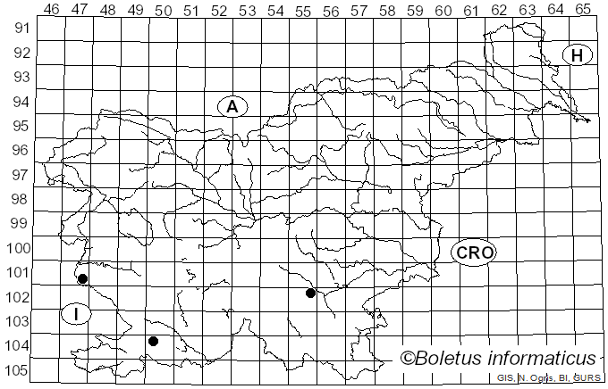 <i>Xylodon raduloides</i> Riebesehl & Langer (2017)