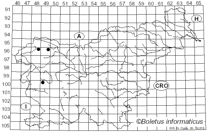 <i>Fuligo leviderma</i> H. Neubert, Nowotny & K. Baumann (1995)