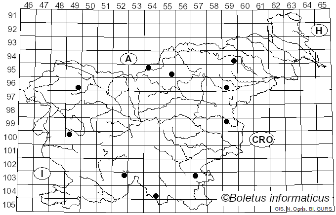 <i>Mycena diosma</i> Krieglst. & Schwöbel (1982)