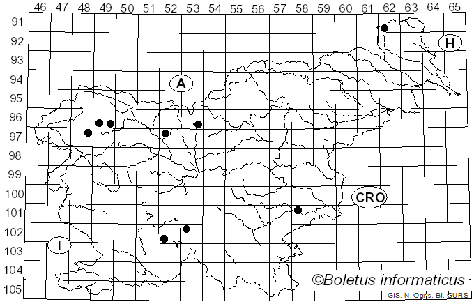 <i>Microdon mutabilis</i> Linnaeus