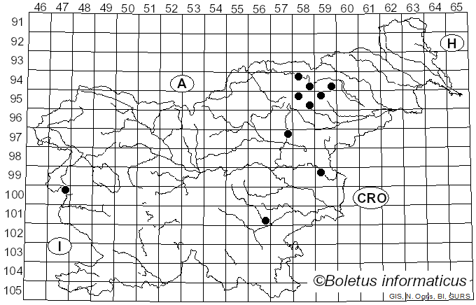 <i>Thaxterogaster scaurus</i> (Fr.) Niskanen & Liimat. (2022)