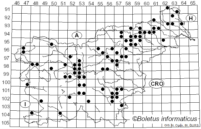 <i>Cortinarius alboviolaceus</i> (Pers.) Fr. (1838)