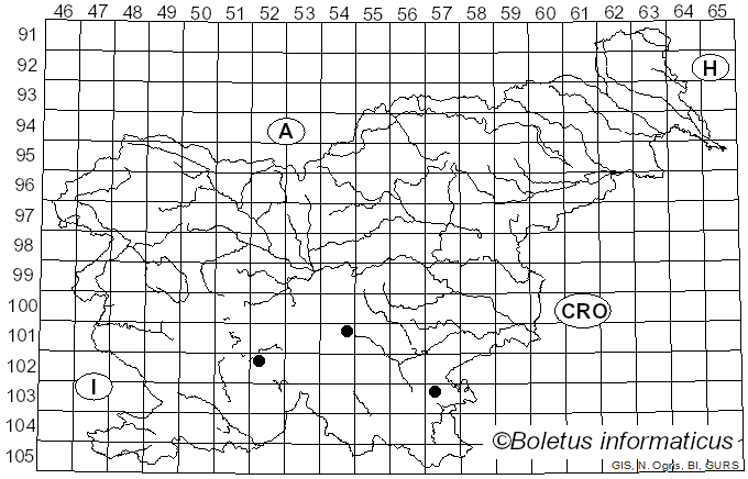 <i>Phaeoclavulina abietina</i> (Pers.) Giachini (2011)