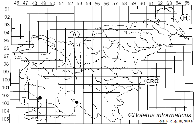 <i>Thaxterogaster fulvo-ochrascens</i> (Rob. Henry) Niskanen & Liimat. (2022)