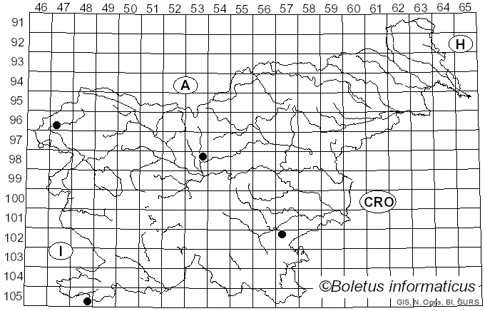 <i>Syzygites megalocarpus</i> Ehrenb. (1818)