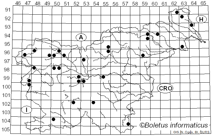 <i>Diatrypella favacea</i> (Fr.) Ces. & De Not. (1863)