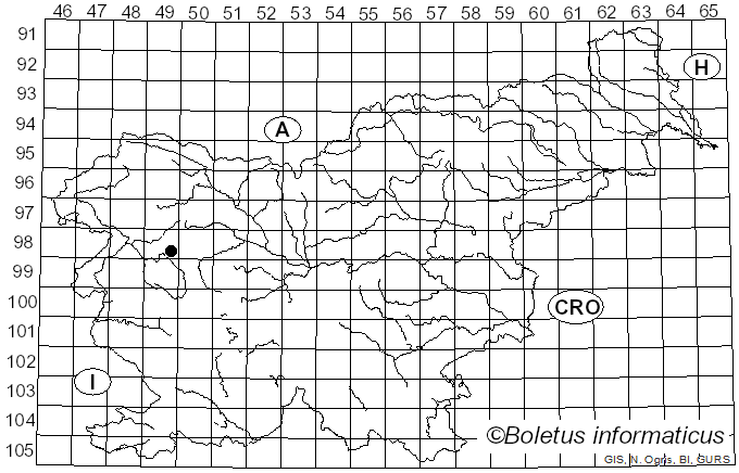 <i>Fibulomyces mutabilis</i> (Bres.) Jülich (1972)