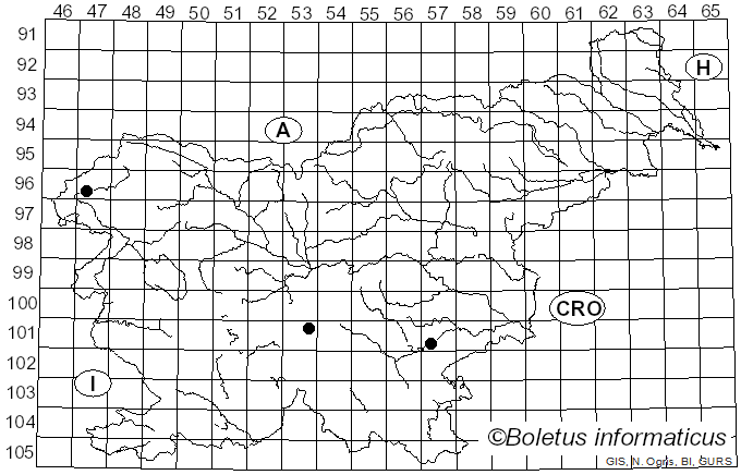 <i>Psathyrella clivensis</i> (Berk. & Broome) P.D. Orton (1960)
