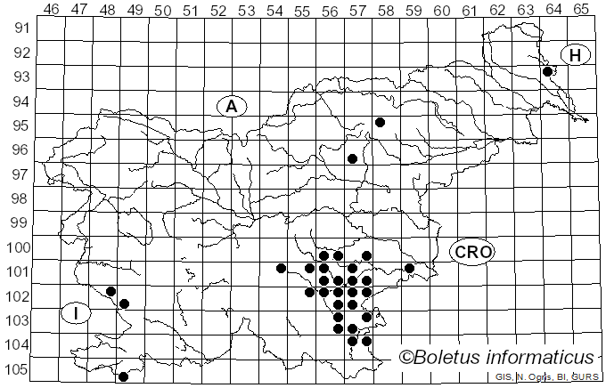 <i>Russula lepidicolor</i> Romagn. (1962)