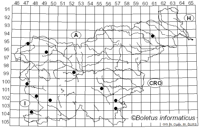 <i>Agaricus porphyrizon</i> P.D. Orton (1960)