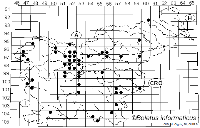 <i>Disciotis</i> Boud. (1885)