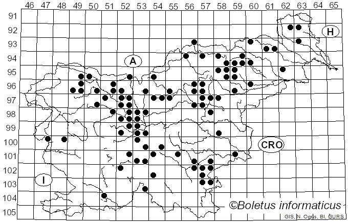 <i>Cortinarius collinitus</i> (Pers.) Fr. (1838)