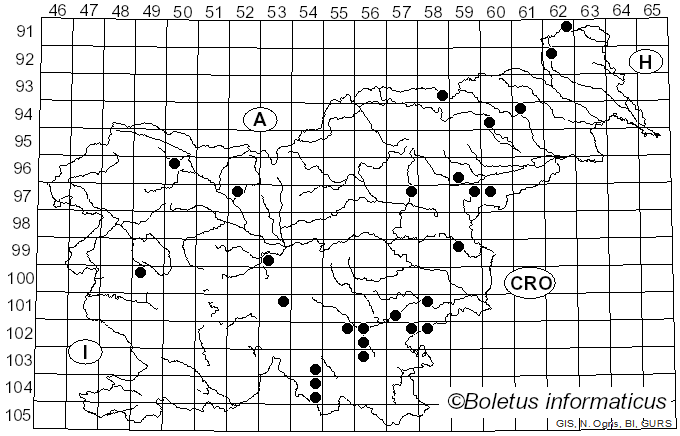 <i>Antrodiella serpula</i> (P. Karst.) Spirin & Niemelä (2006)