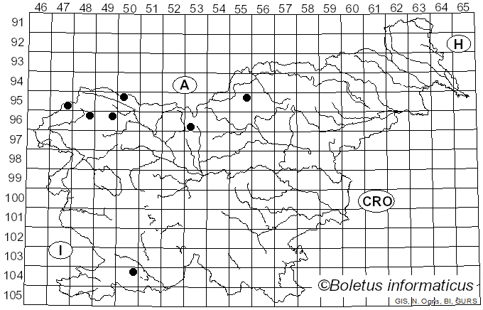 <i>Diderma meyerae</i> H. Singer, G. Moreno, Illana & A. Sánchez (2003)