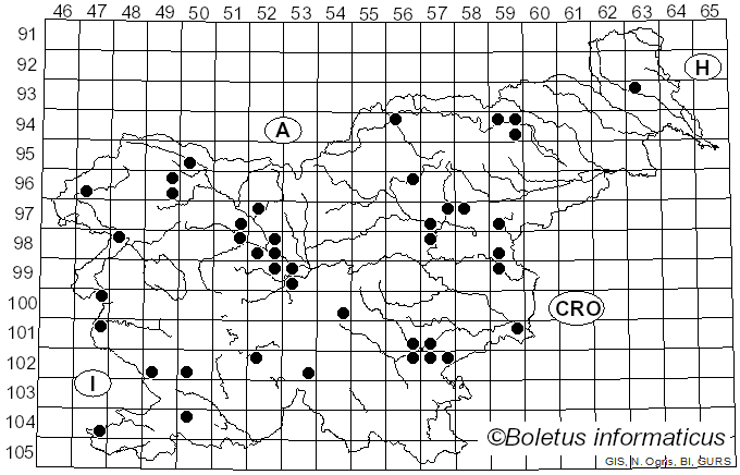 <i>Agaricus bisporus</i> (J.E. Lange) Pilát (1951)