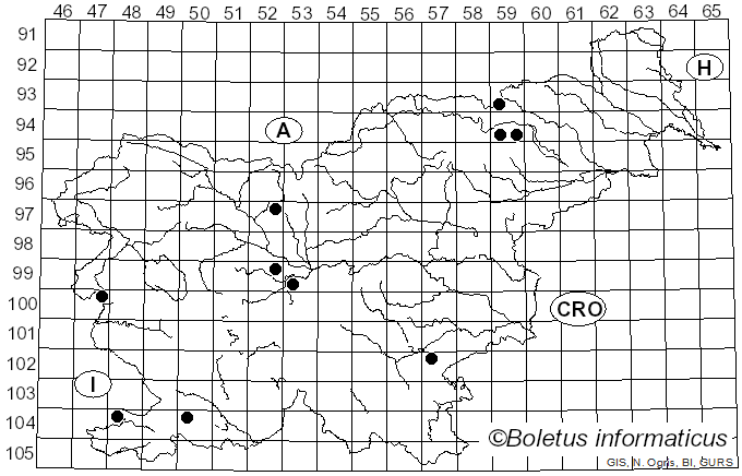 <i>Conocybe pubescens</i> (Gillet) Kühner (1935)