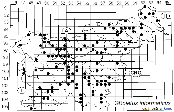 <i>Calocera cornea</i> (Batsch) Fr. (1827)