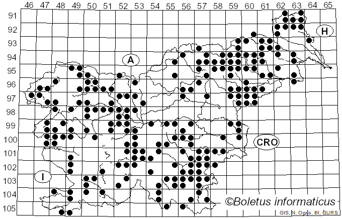 <i>Xylaria</i> Hill ex Schrank (1789)