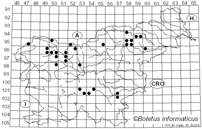 <i>Chrysomphalina</i> Clémençon (1982)