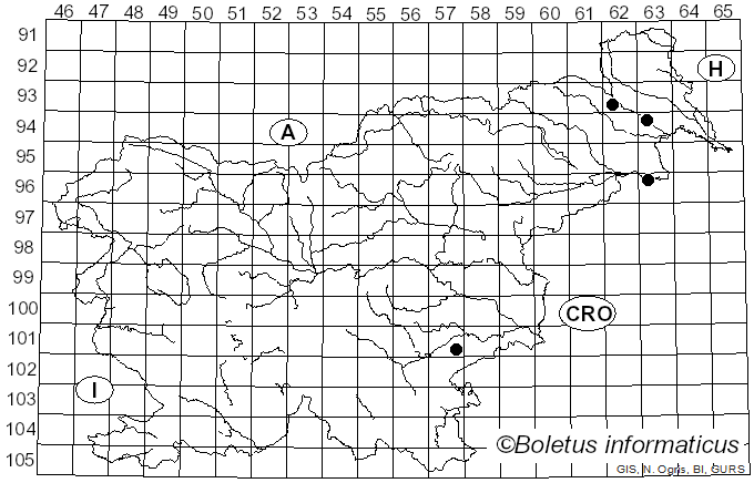 <i>Lophiostoma viridarium</i> Cooke (1868)