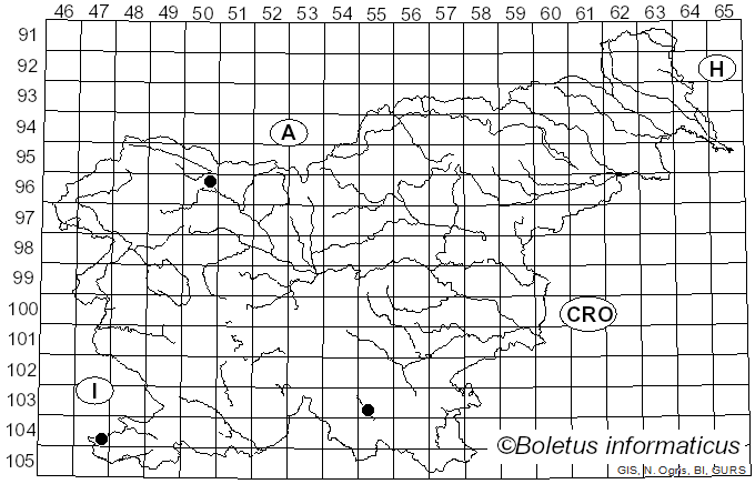 <i>Trochila craterium</i> (DC.) Fr. (1849)