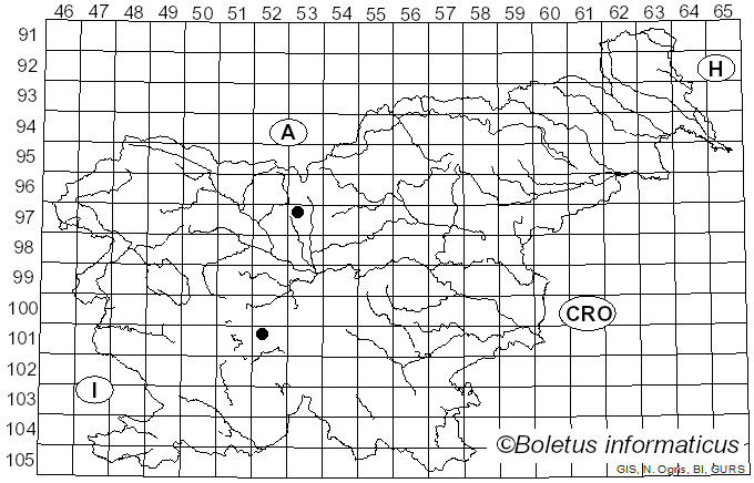 <i>Leptothyrium vulgare</i> f. <i>vulgare</i> (Fr.) Sacc. (1880)