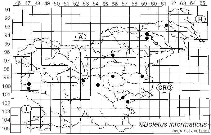 <i>Russula pallidospora</i> J. Blum ex Romagn. (1967)