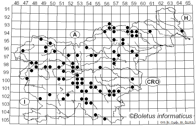 <i>Melanoleuca strictipes</i> (P. Karst.) Jul. Schäff. (1951)
