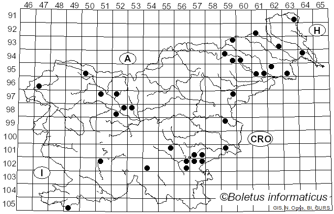 <i>Gymnopus aquosus</i> (Bull.) Antonín & Noordel. (1997)