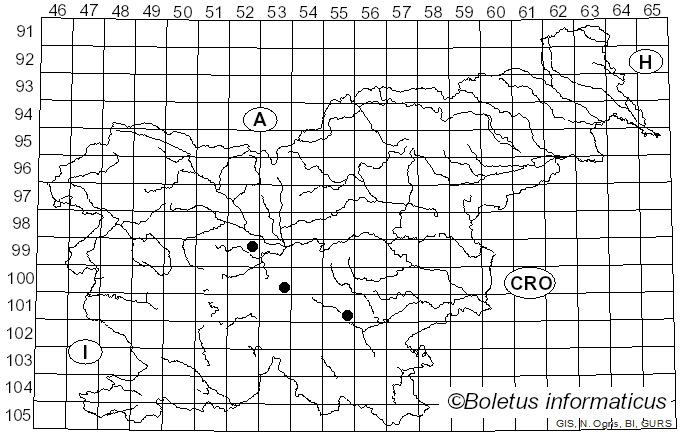 <i>Rubroboletus pulchrotinctus</i> (Alessio) Kuan Zhao & Zhu L. Yang (2014)