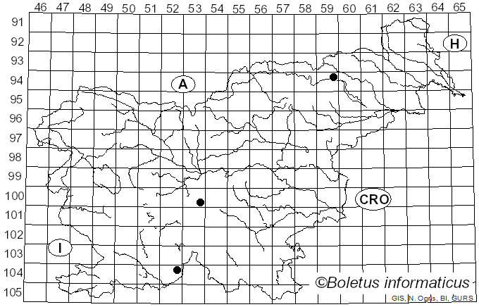 <i>Cortinarius boulderensis</i> A.H. Sm. (1944)