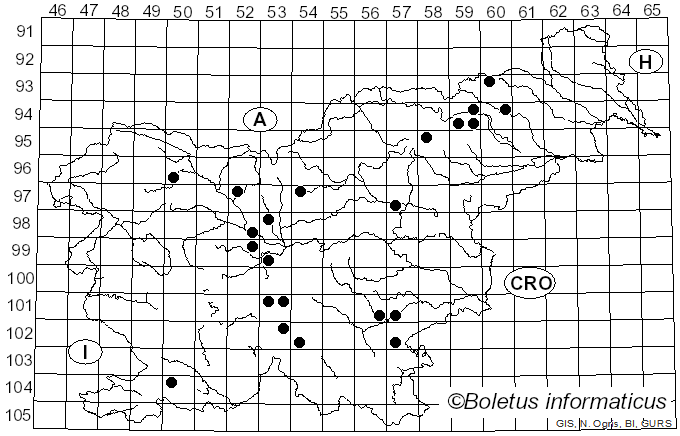 <i>Panaeolus fimicola</i> (Pers.) Gillet (1874)