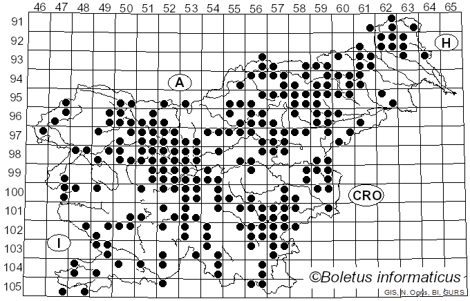 <i>Laccaria amethystina</i> Cooke (1883)