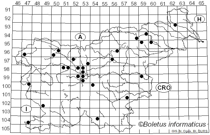 <i>Coprinopsis cinerea</i> (Schaeff.) Redhead, Vilgalys & Moncalvo (2001)