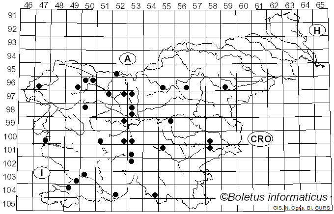 <i>Hemitrichia serpula</i> (Scop.) Rostaf. (1873)
