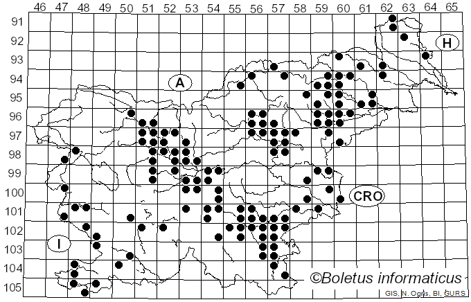 <i>Clathrus archeri</i> (Berk.) Dring (1980)