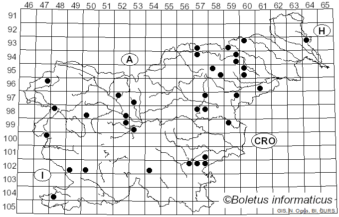 <i>Russula claroflava</i> Grove (1888)