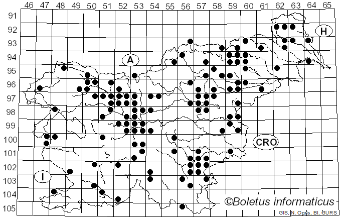 <i>Coprinopsis atramentaria</i> (Bull.) Redhead, Vilgalys & Moncalvo (2001)