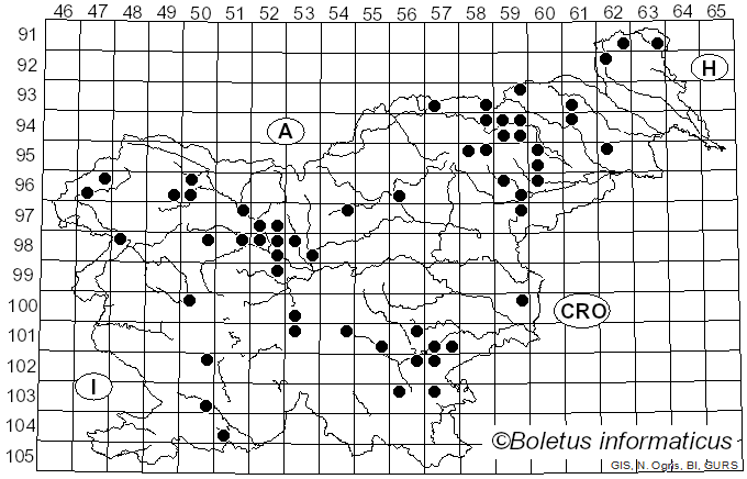 <i>Ampulloclitocybe</i> Redhead, Lutzoni, Moncalvo & Vilgalys (2002)