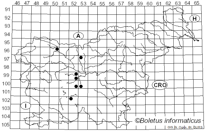 <i>Aecidiolum</i> Unger (1832)