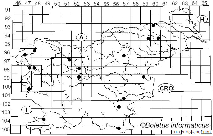 <i>Phloeomana alba</i> (Bres.) Redhead (2016)
