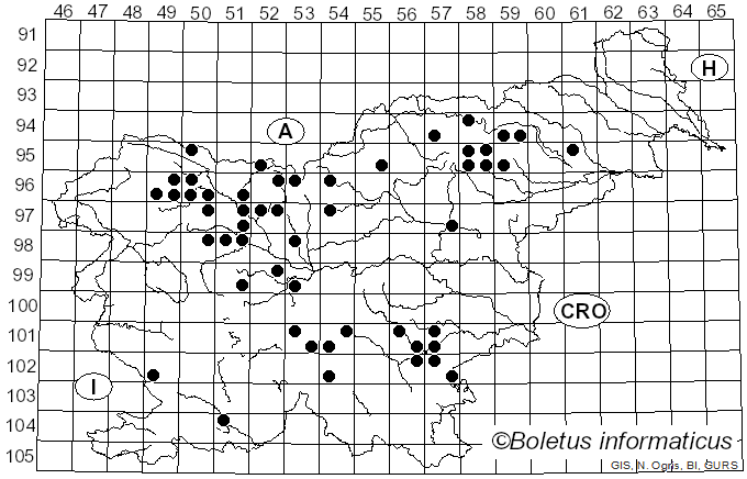 <i>Chrysomphalina chrysophylla</i> (Fr.) Clémençon (1982)