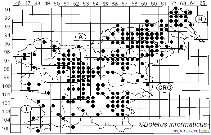 <i>Sparassis</i> Fr. (1819)