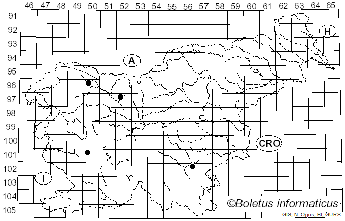 <i>Capitotricha</i> (Raitv.) Baral (1985)